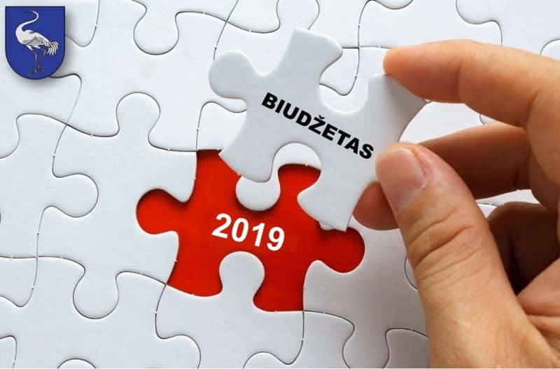 Проект бюджета Висагинского самоуправления на 2019 год