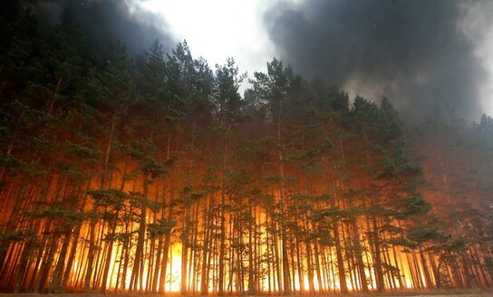 Lietuvos hidrometeorologijos tarnyba įspėja apie didėjantį miškų gaisringumą