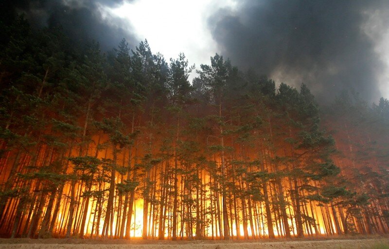 Lietuvos hidrometeorologijos tarnyba įspėja apie didėjantį miškų gaisringumą