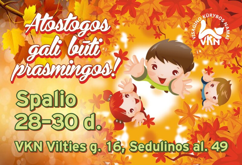 Atostogos gali būti prasmingos! Kviečia VKN