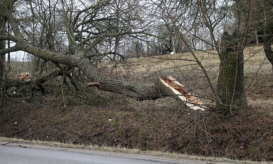  Perspėjimas apie pavojingą meteorologinį reiškinį – vėją