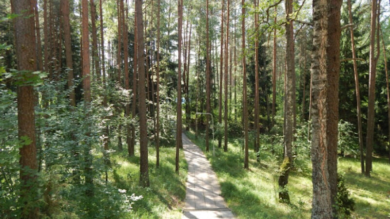 Dėl Visagino savivaldybės valstybinės reikšmės miškų plotų schemos 