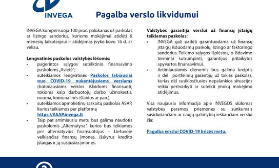 Pagalba verslui