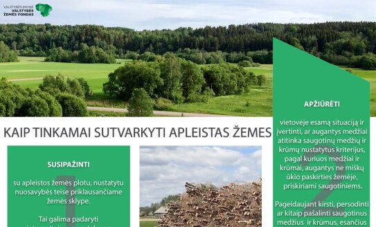 Kaip tinkamai sutvarkyti apleistas žemes