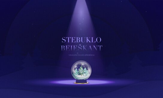 Stebuklo beieškant – Miesto eglės įžiebimas