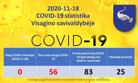 2020-11-18: COVID-19 situacija Visagine