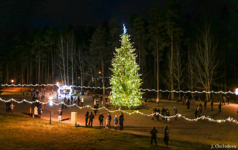 Susikurkite kalėdinę nuotaiką prie mūsų eglės