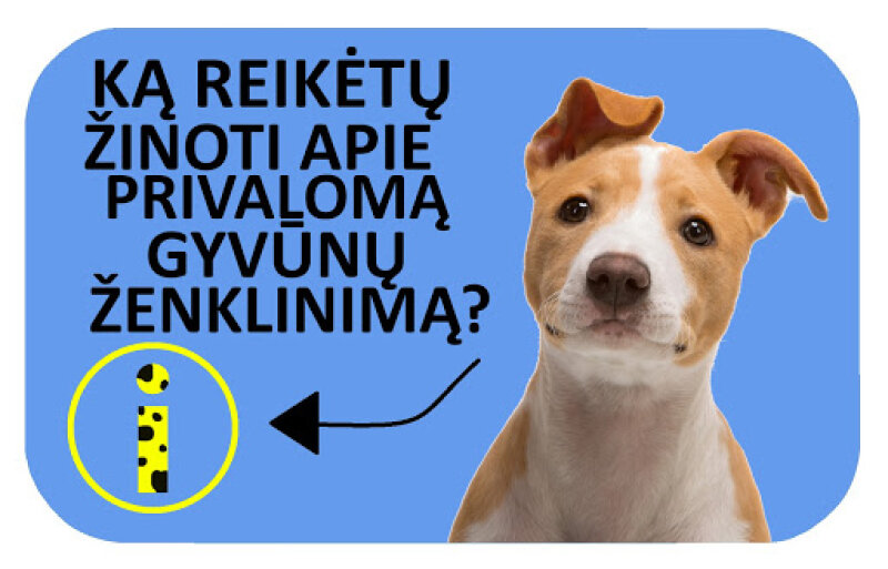 Nuo š. m. gegužės 1 d. – privalomas šunų ir kačių ženklinimas