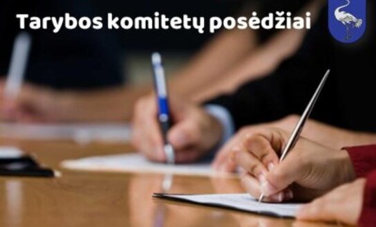 Miesto plėtros ir vietinio ūkio komiteto posėdis
