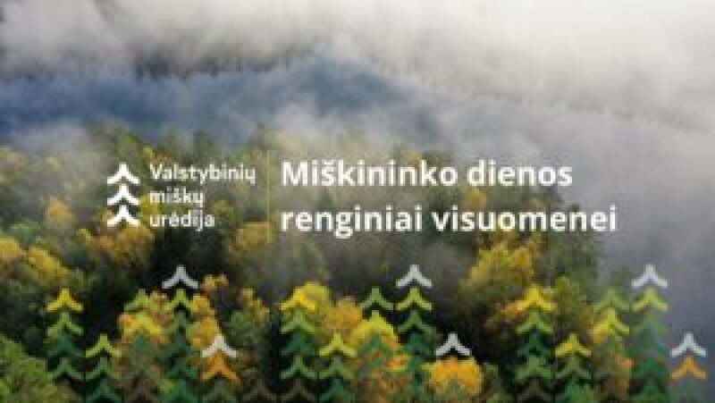 Miškininkai kviečia į Miškininko dienos renginius – pasiūlė beveik 30 pramogų miške