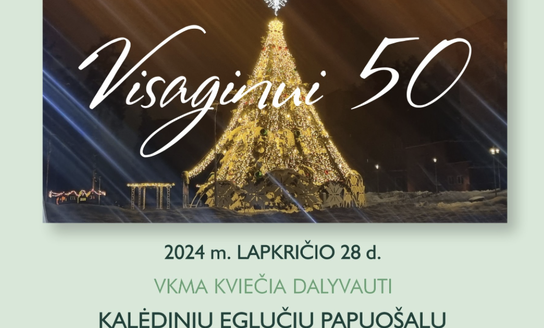 Kalėdinių eglučių papuošalų konkursas!