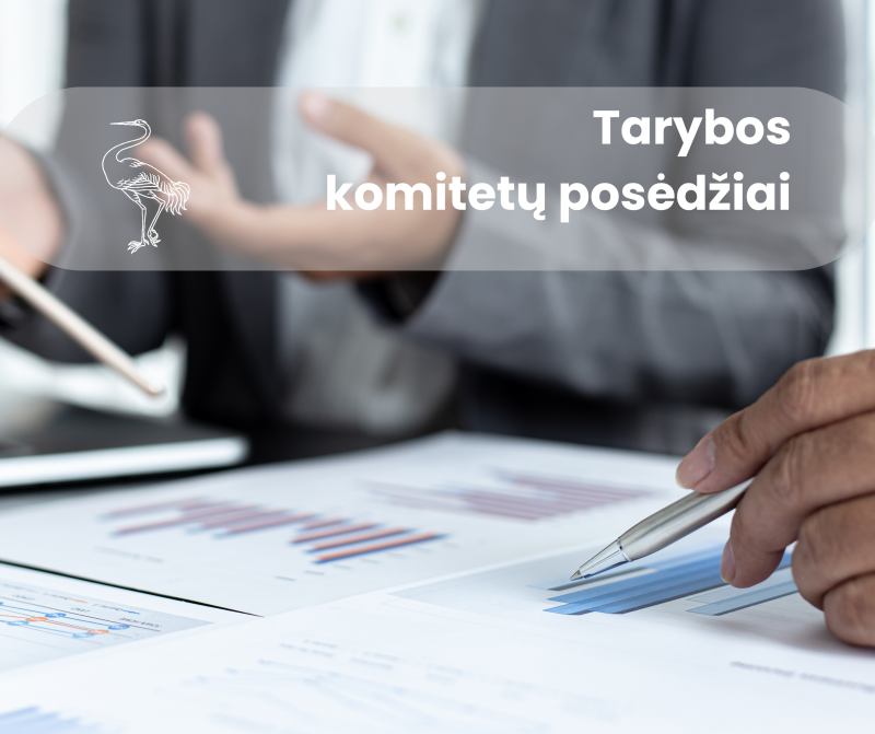Sausio 21-24 d. vyks Visagino savivaldybės tarybos komitetų posėdžiai