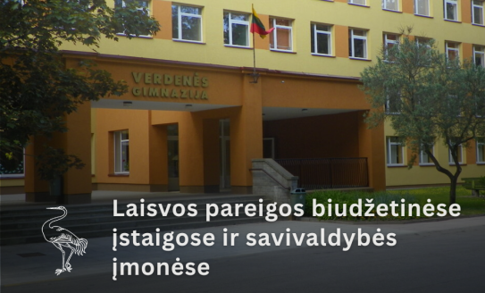 Skelbiama specialistų paieška Visagino „Verdenės“ gimnazijoje