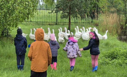 Visagino vaikų lopšelis-darželis dalyvauja projekte „Sportuoti gali visi“: aktyvi ir įkvepianti...