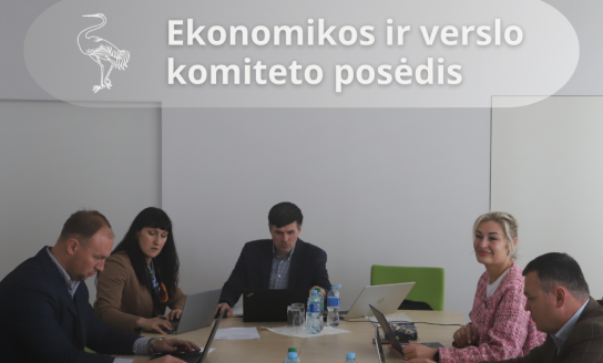 Ekonomikos ir verslo komiteto posėdis