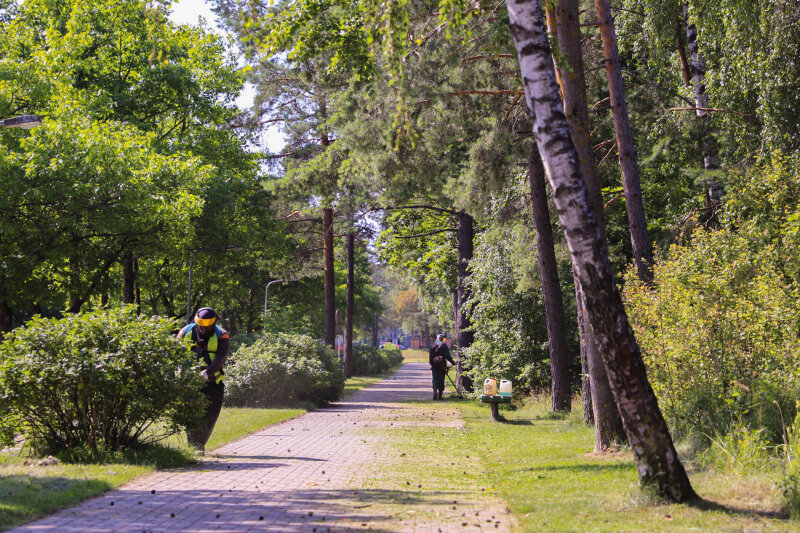 Preliminarus šienavimo grafikas nuo 2025 m. gegužės 26 d.