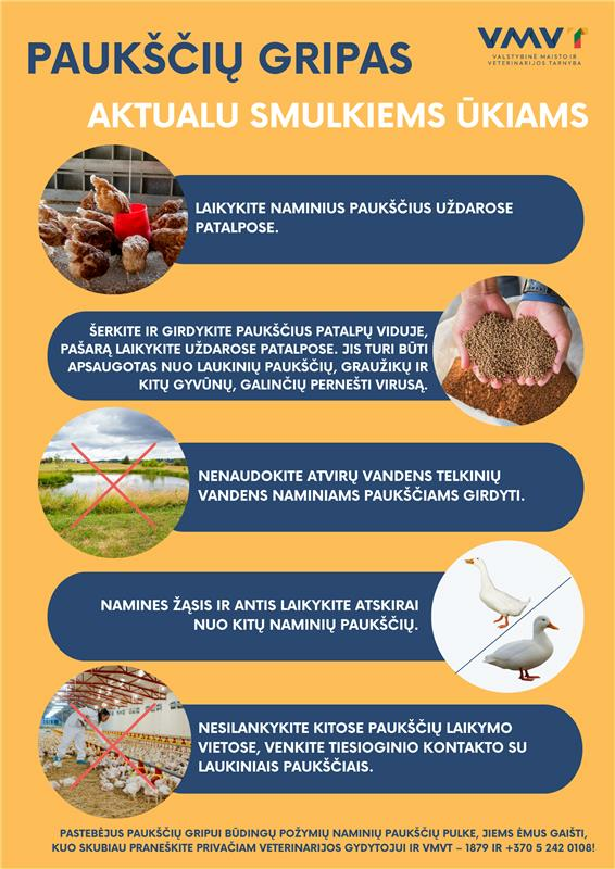 Paukščių gripas vėl Lietuvoje – židinys nustatytas Kaišiadorių rajone