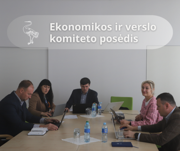 Paveikslelis, susijęs su Ekonomikos ir verslo komiteto posėdis
