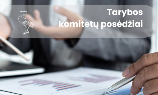 Birželio 10-11 d. vyks Visagino savivaldybės tarybos komitetų posėdžiai
