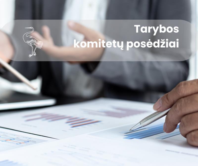 Birželio 10-11 d. vyks Visagino savivaldybės tarybos komitetų posėdžiai