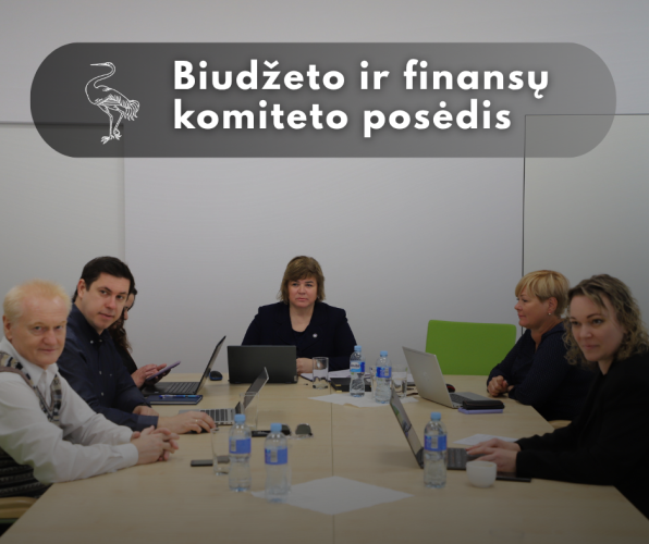 Paveikslelis, susijęs su Biudžeto ir finansų komiteto posėdis