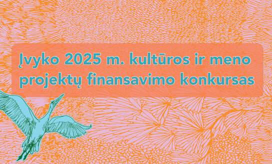 Įvyko 2025 m. kultūros ir meno projektų finansavimo konkursas